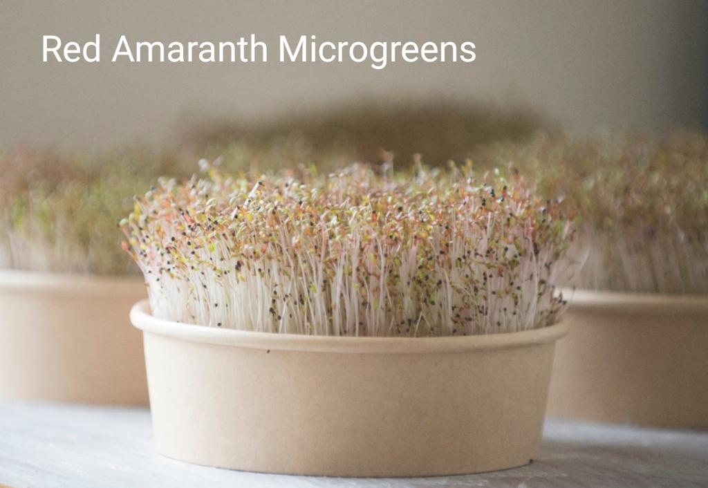 GIYmicrogreen (Grow it yourself micro greens)
