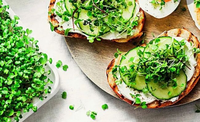 GIYmicrogreen (Grow it yourself micro greens)