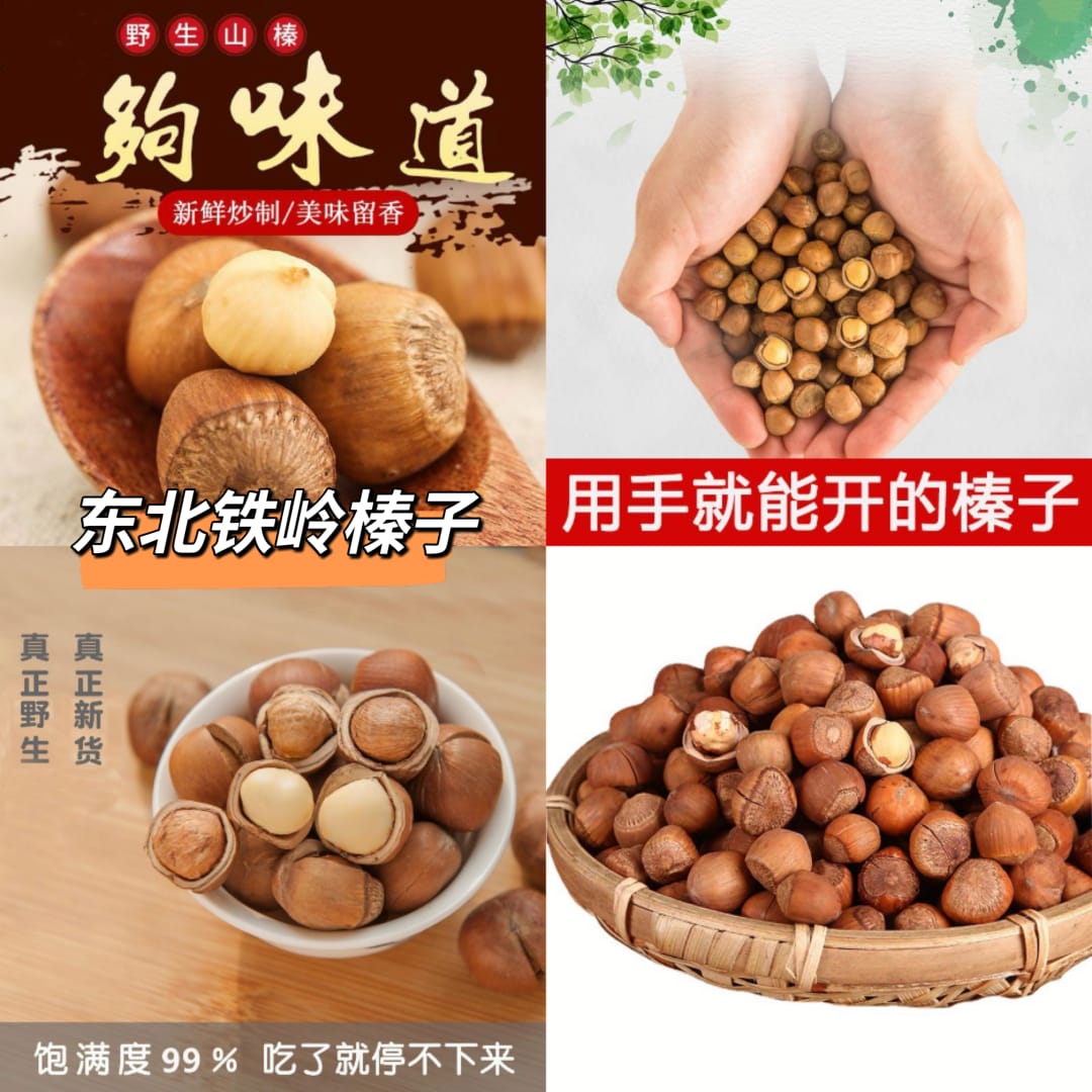 DSM - S031 东北铁岭榛子 1kg / Northeast Tieling Hazelnut 1kg